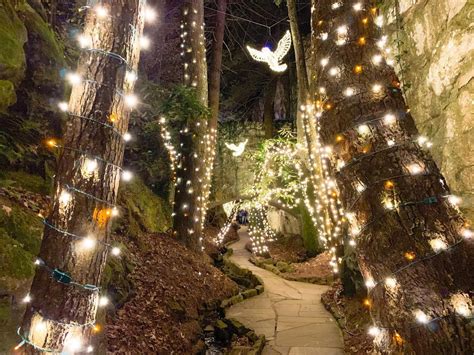 The Art of Illumination: Chattanooga's Magical Light Event